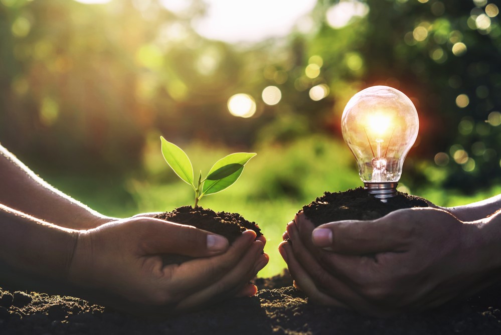 O texto relata sobre as ações de sustentabilidade que o Grupo Side promove em suas prestações de serviços. No decorrer, dos parágrafos é possível observar algumas medidas sustentáveis que qualquer pessoa pode adotar no dia-a-dia.