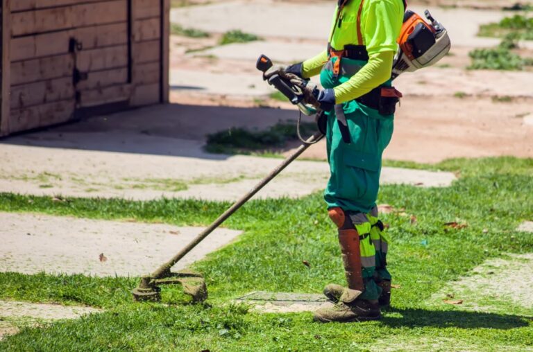 Manutenção de áreas verdes: quais serviços estão envolvidos?