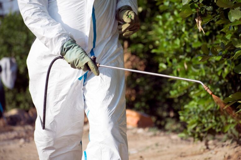 Controle de dengue em condomínio: checklist para ser adotado