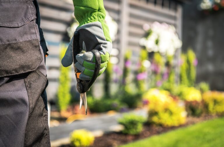 9 serviços pontuais para empresa